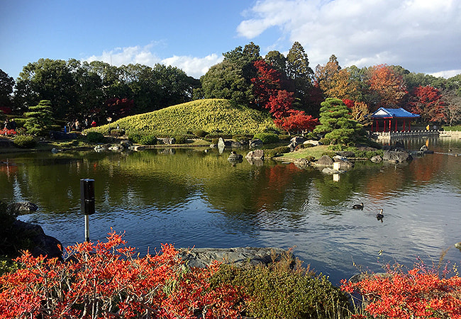 大仙公園　日本庭園