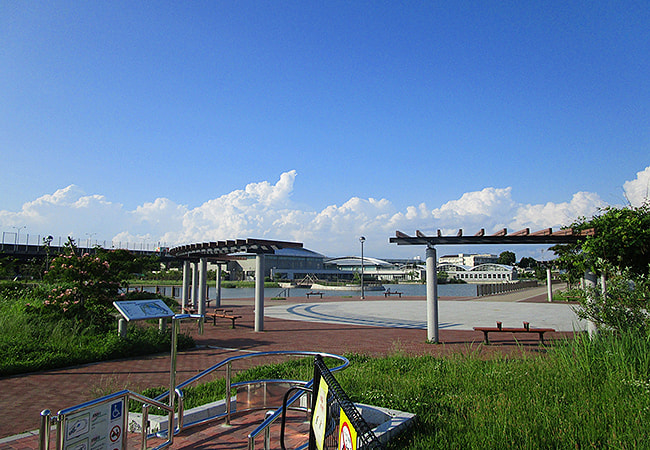 堺市中区　原池公園